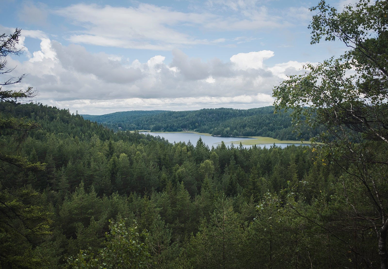 High view over lake and trees