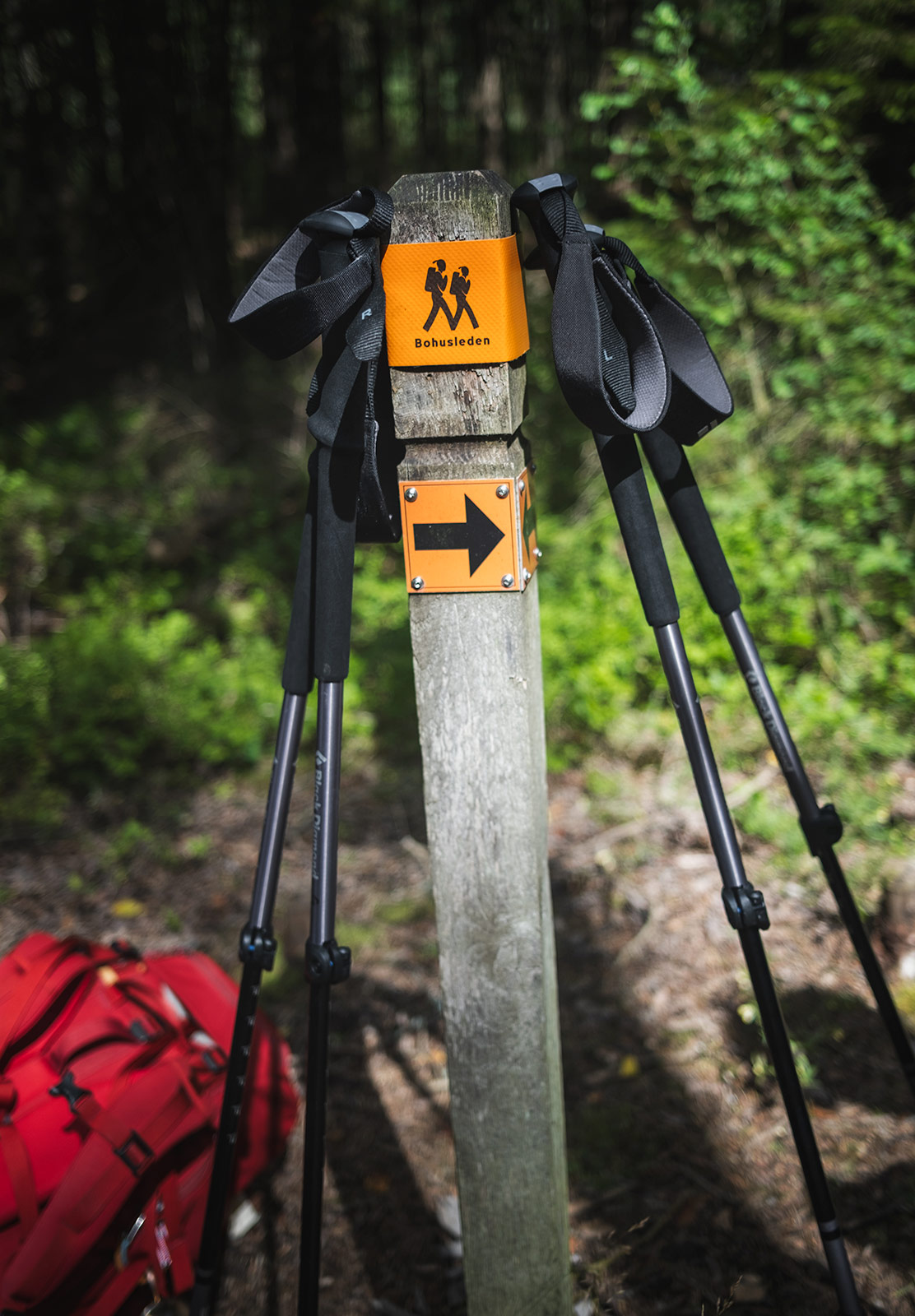 Trekking poles leaning on trail marker