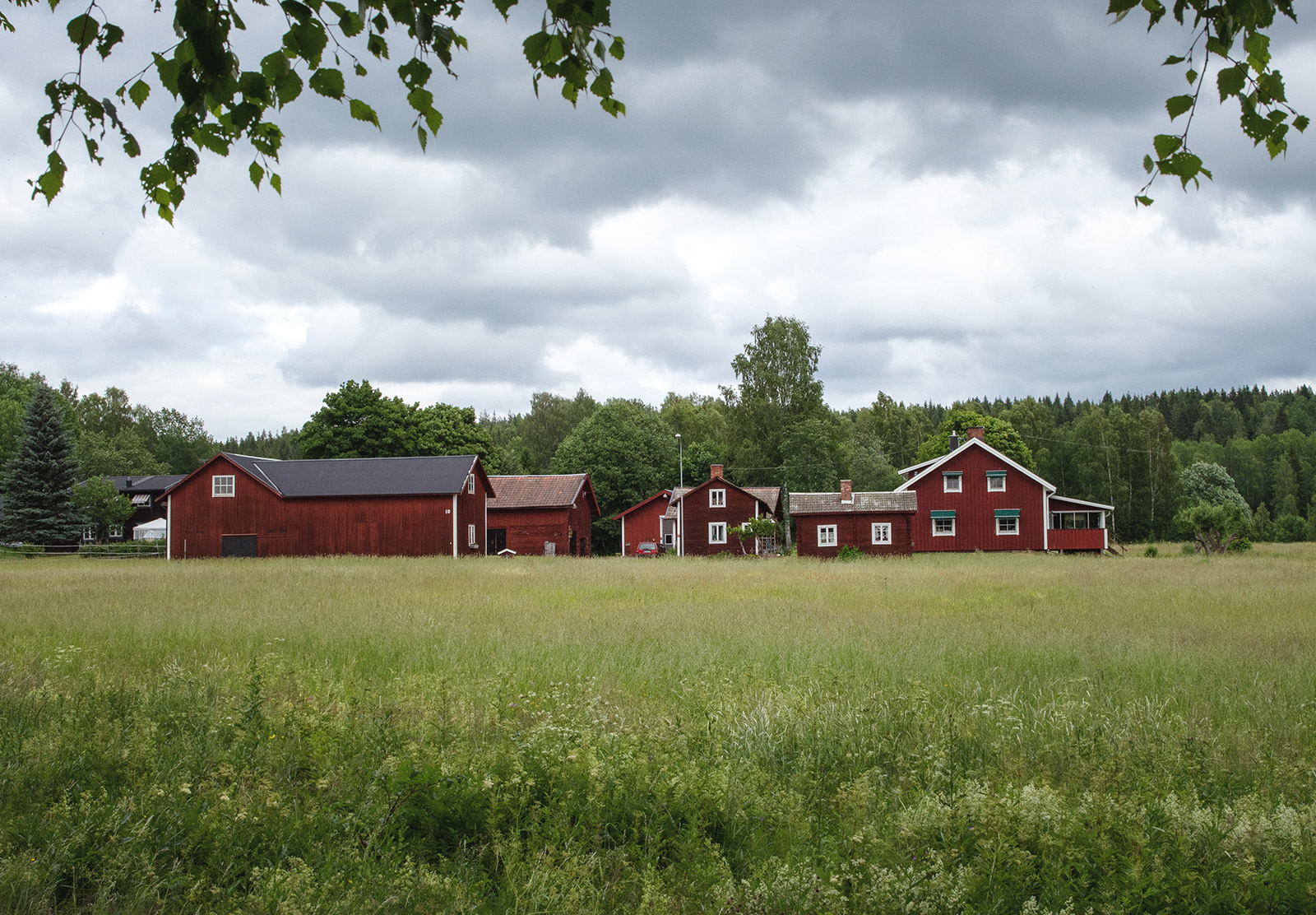 Painted wooden houses