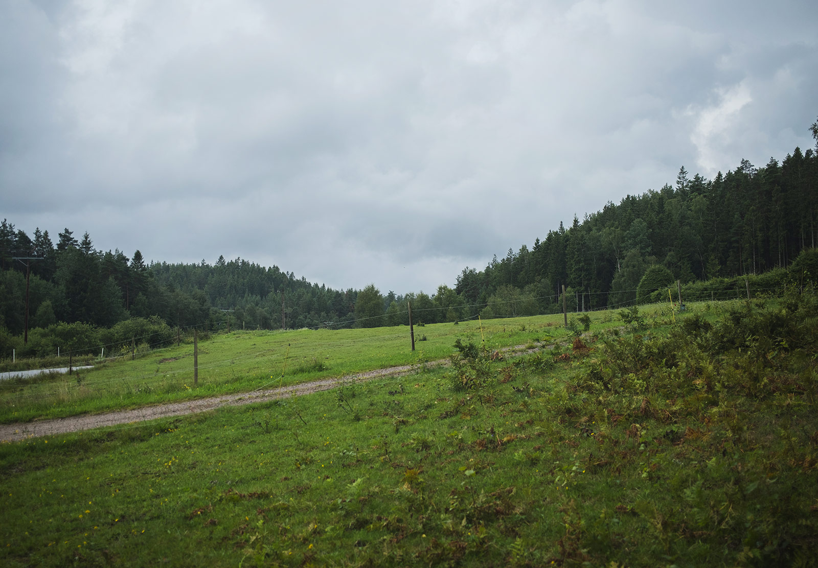 Dark and rainy lanscape