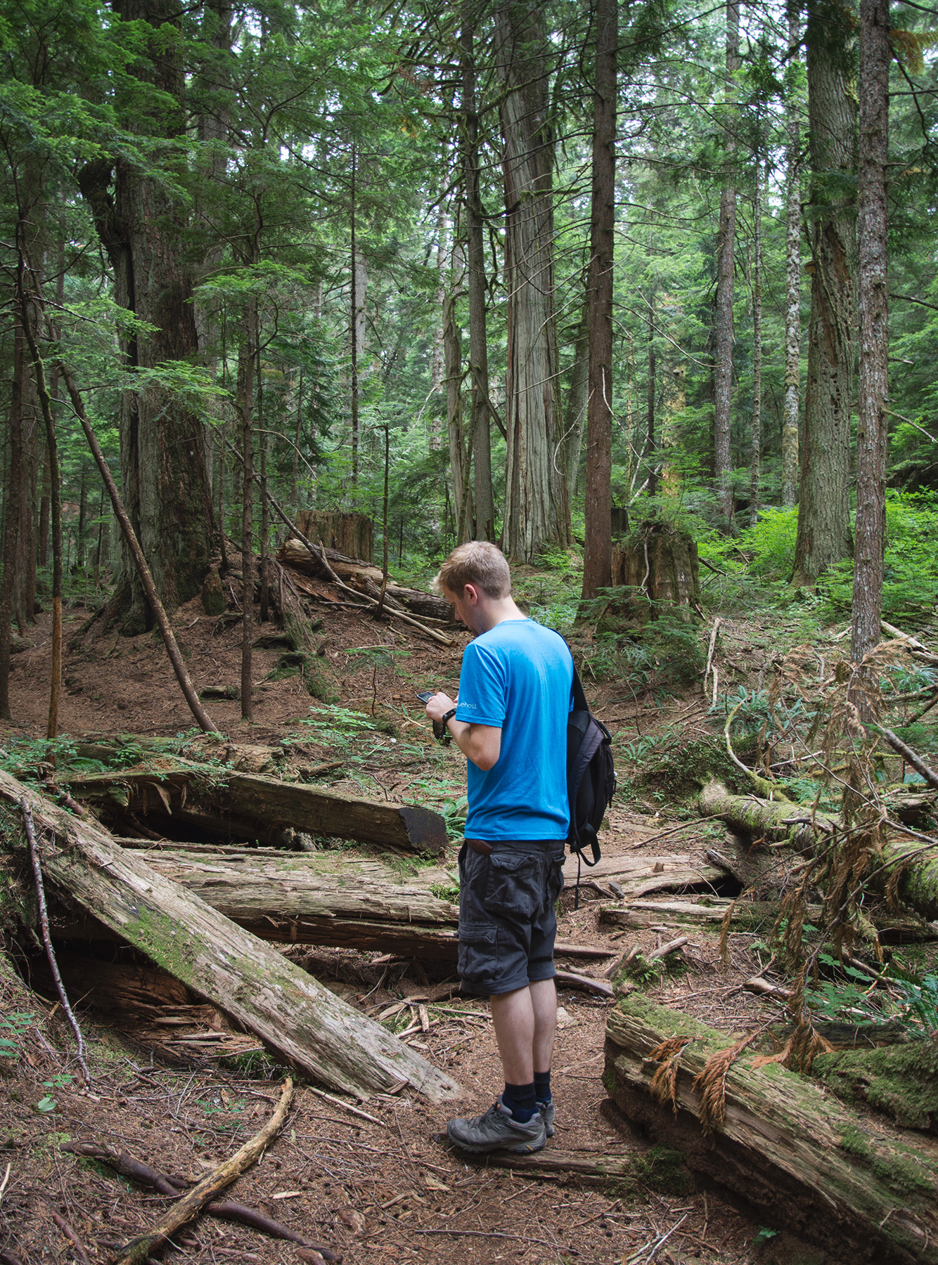 Man in forest