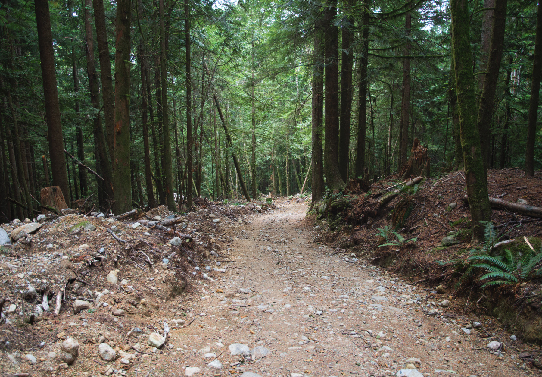 Downhill trail