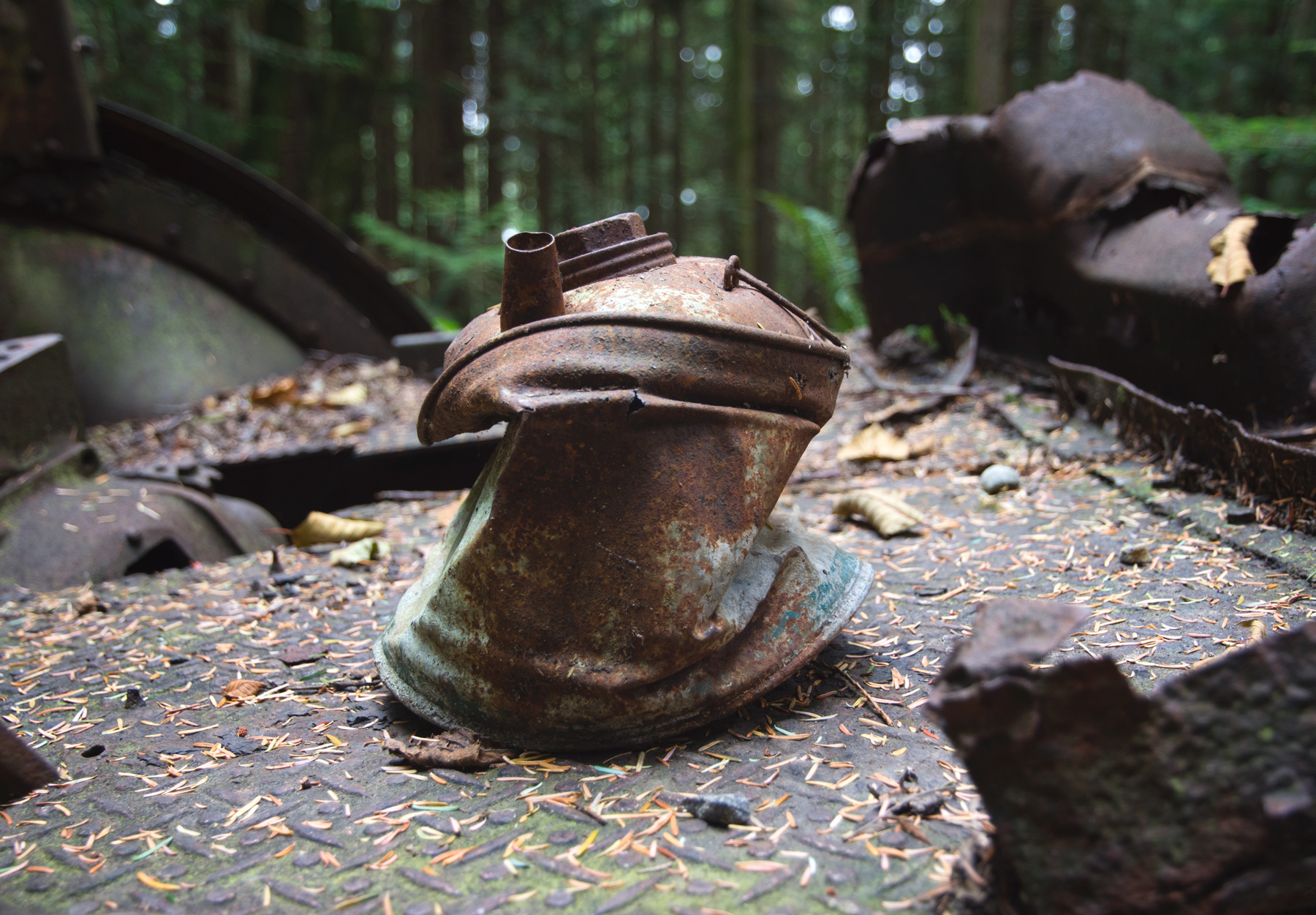Rusty metal can
