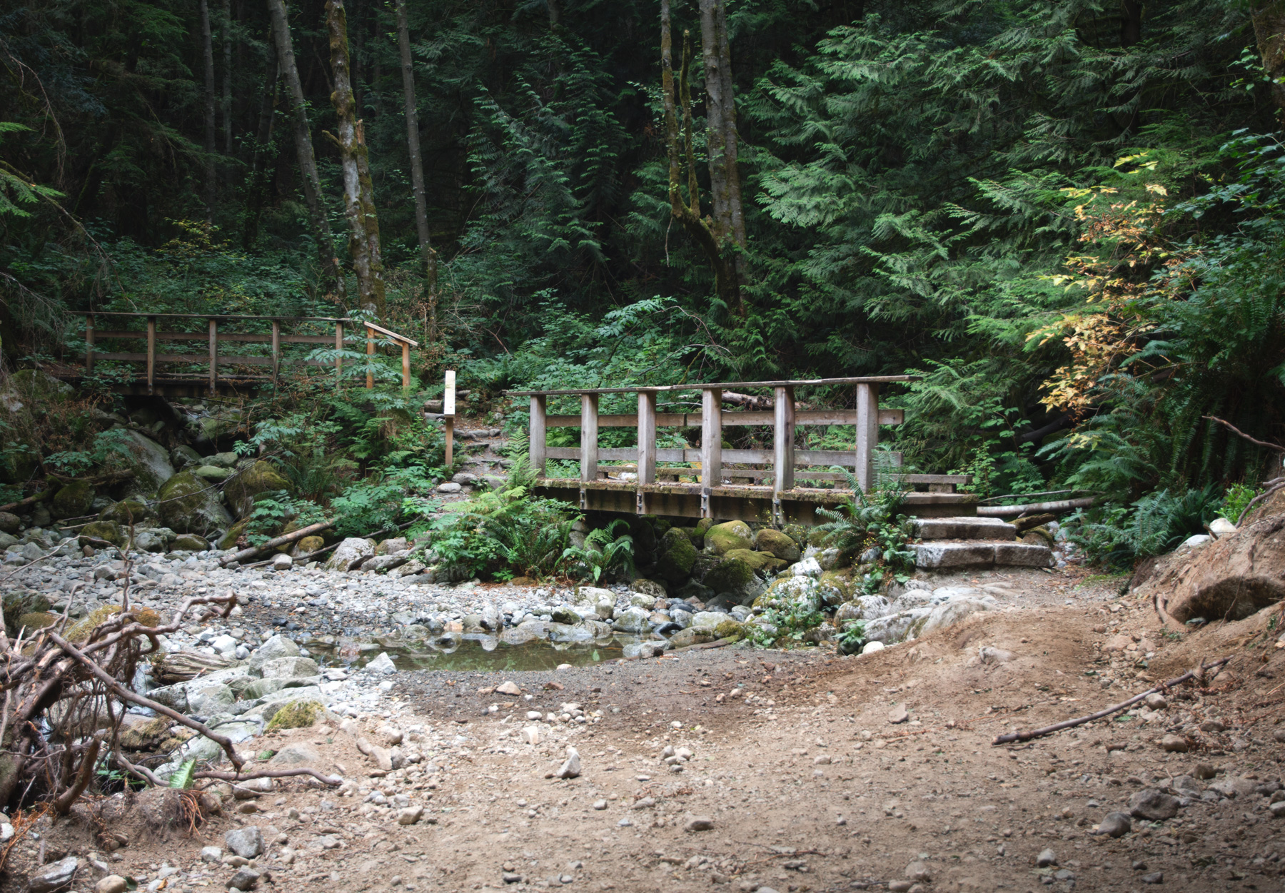 Wooden bridge