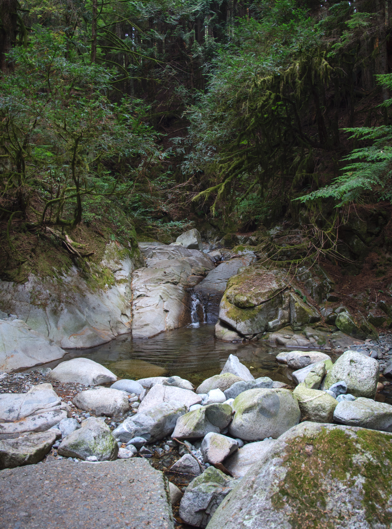 Water in creek