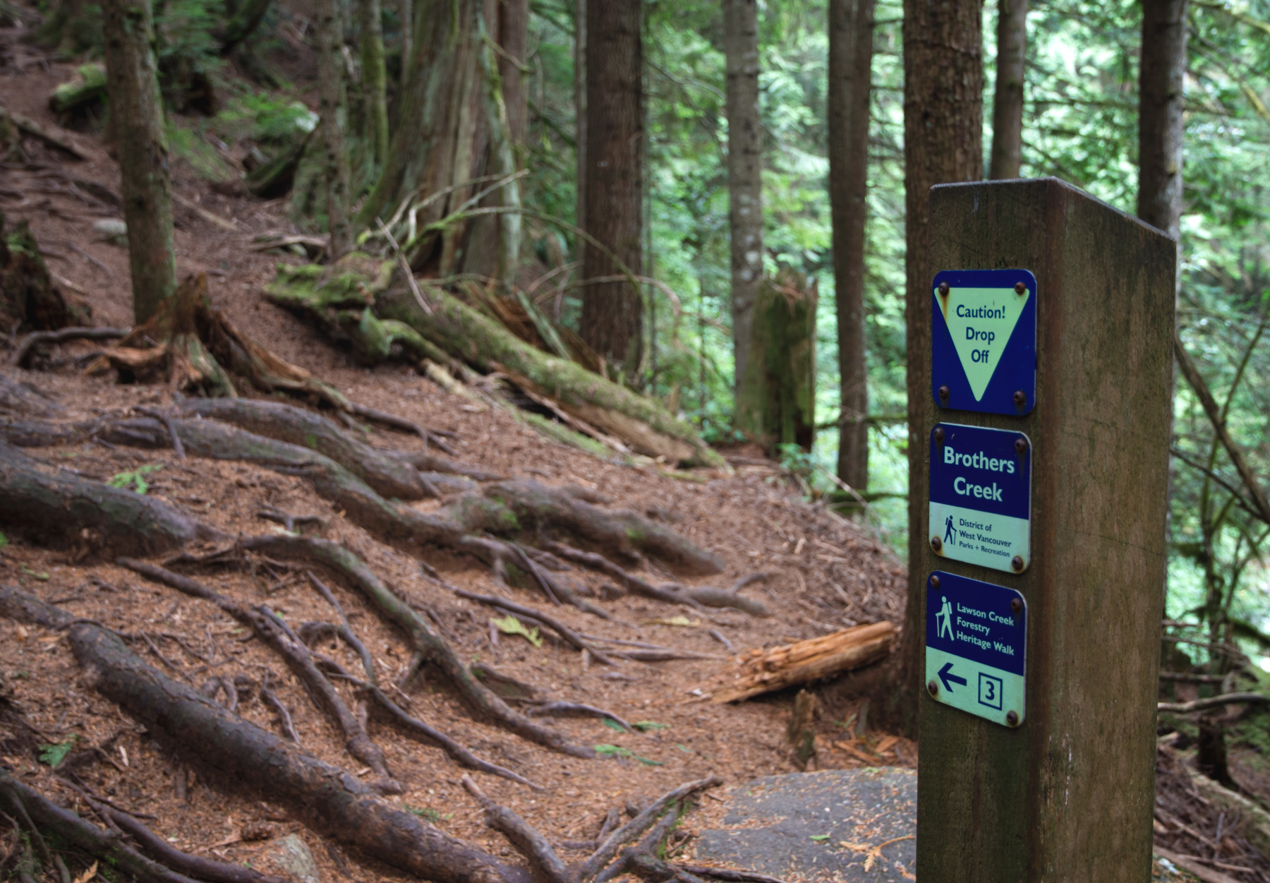 Wooden trail marker