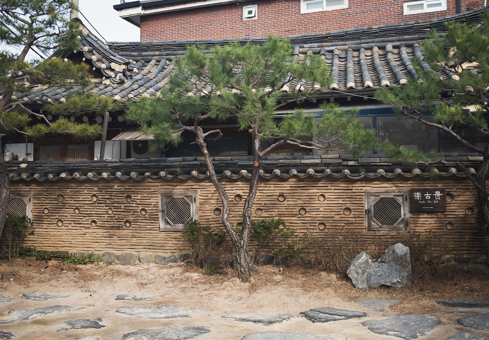 Tree against wall