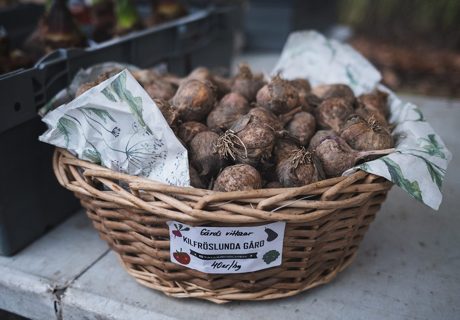 Bulbs piled in basket