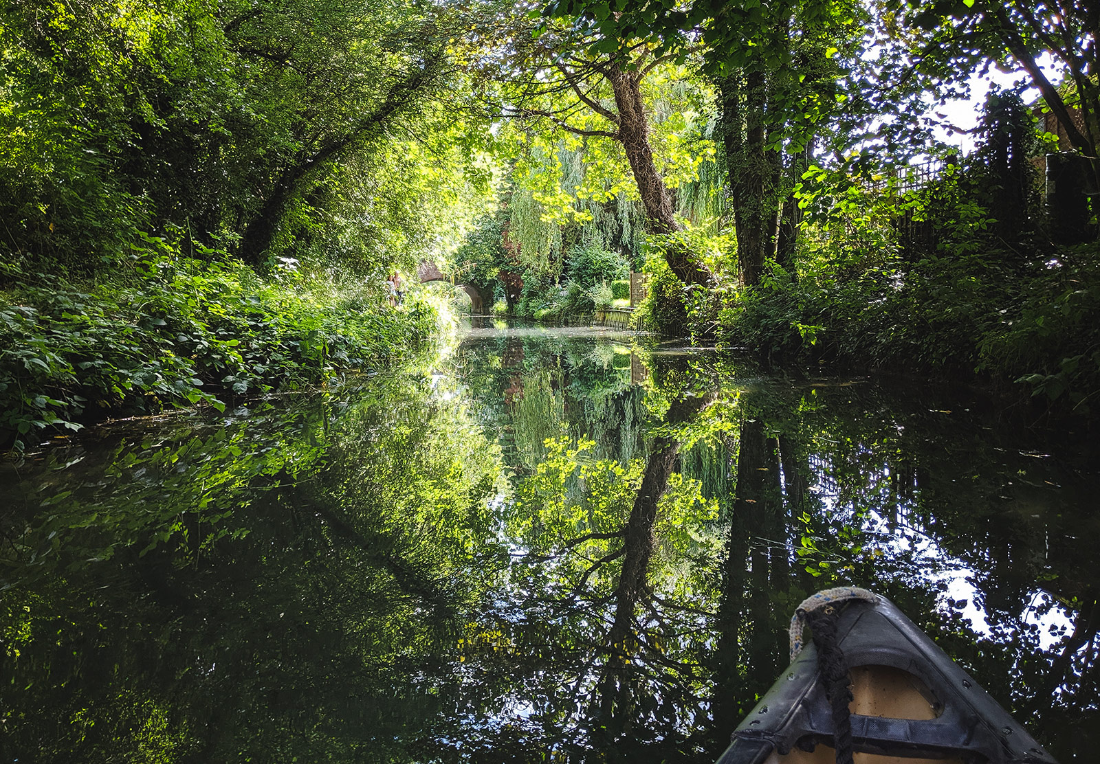Tree reflections on water