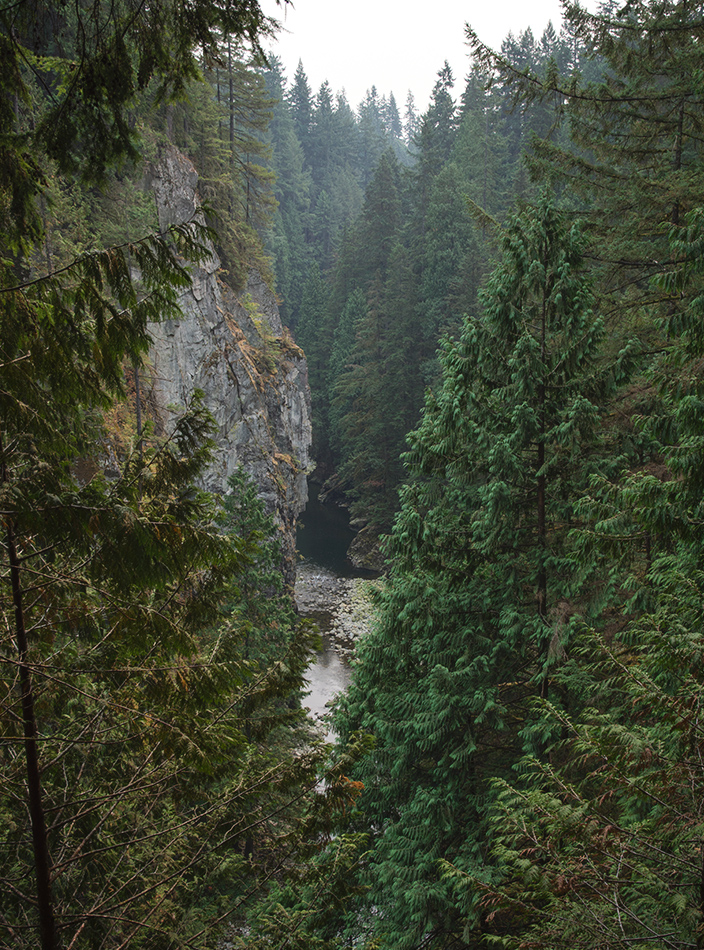 Trees and view over creek