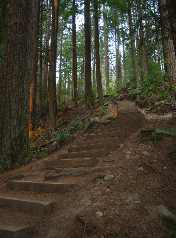 Wooden steps