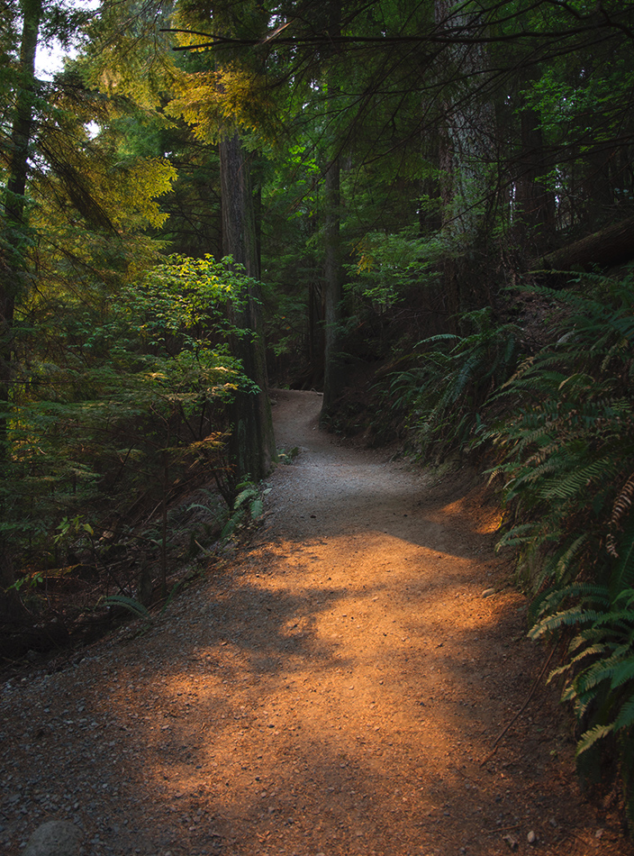 Orange light on dirt trail