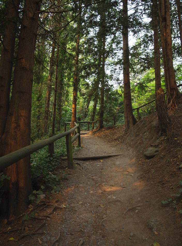 Orange light on dirt trail