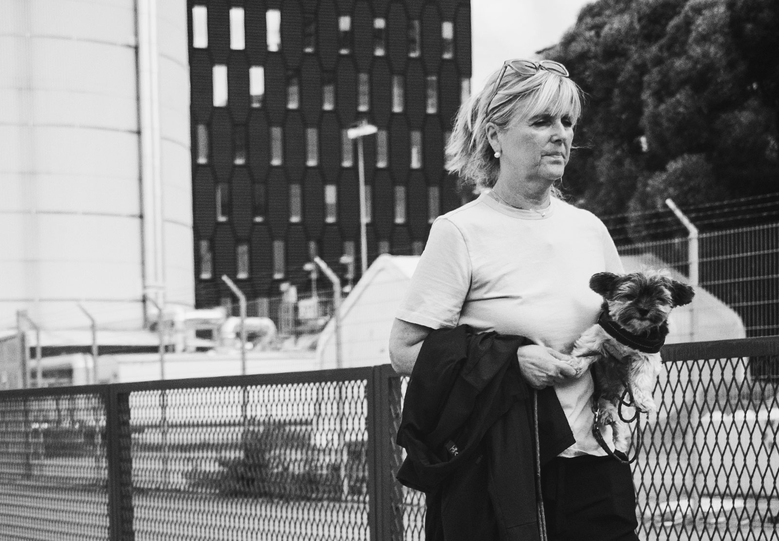 Dog being carried by owner