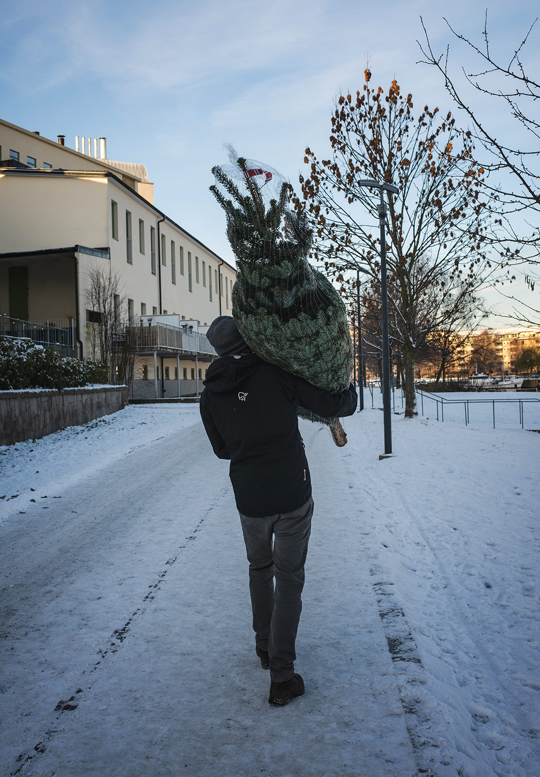 Man carrying Christmas tree
