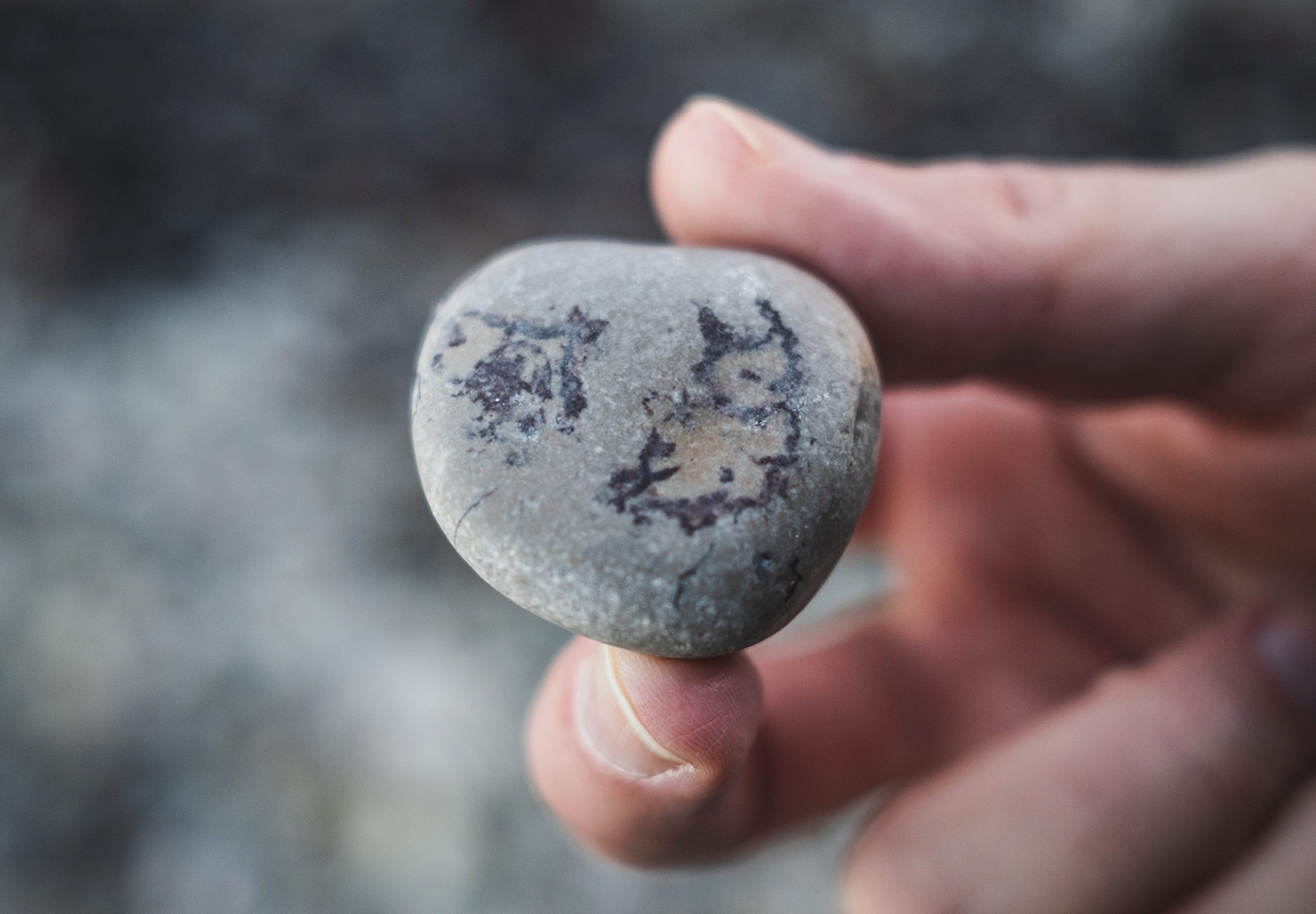 Cat shaped rock marking
