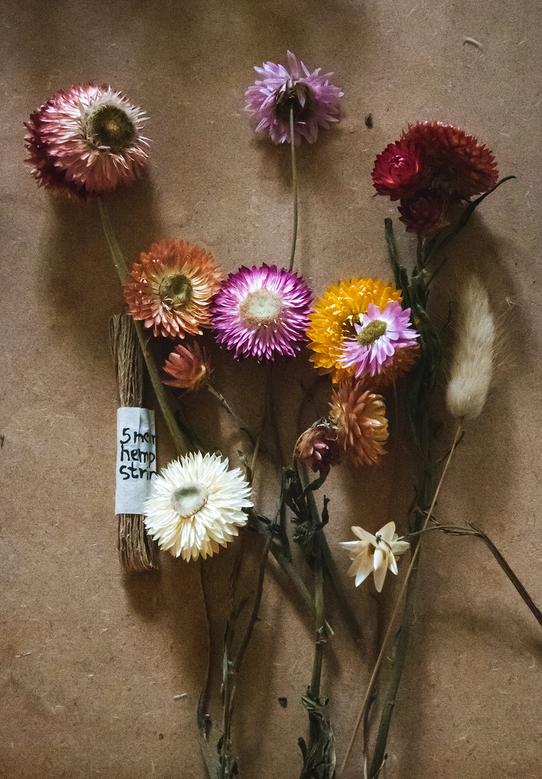 Starflowers