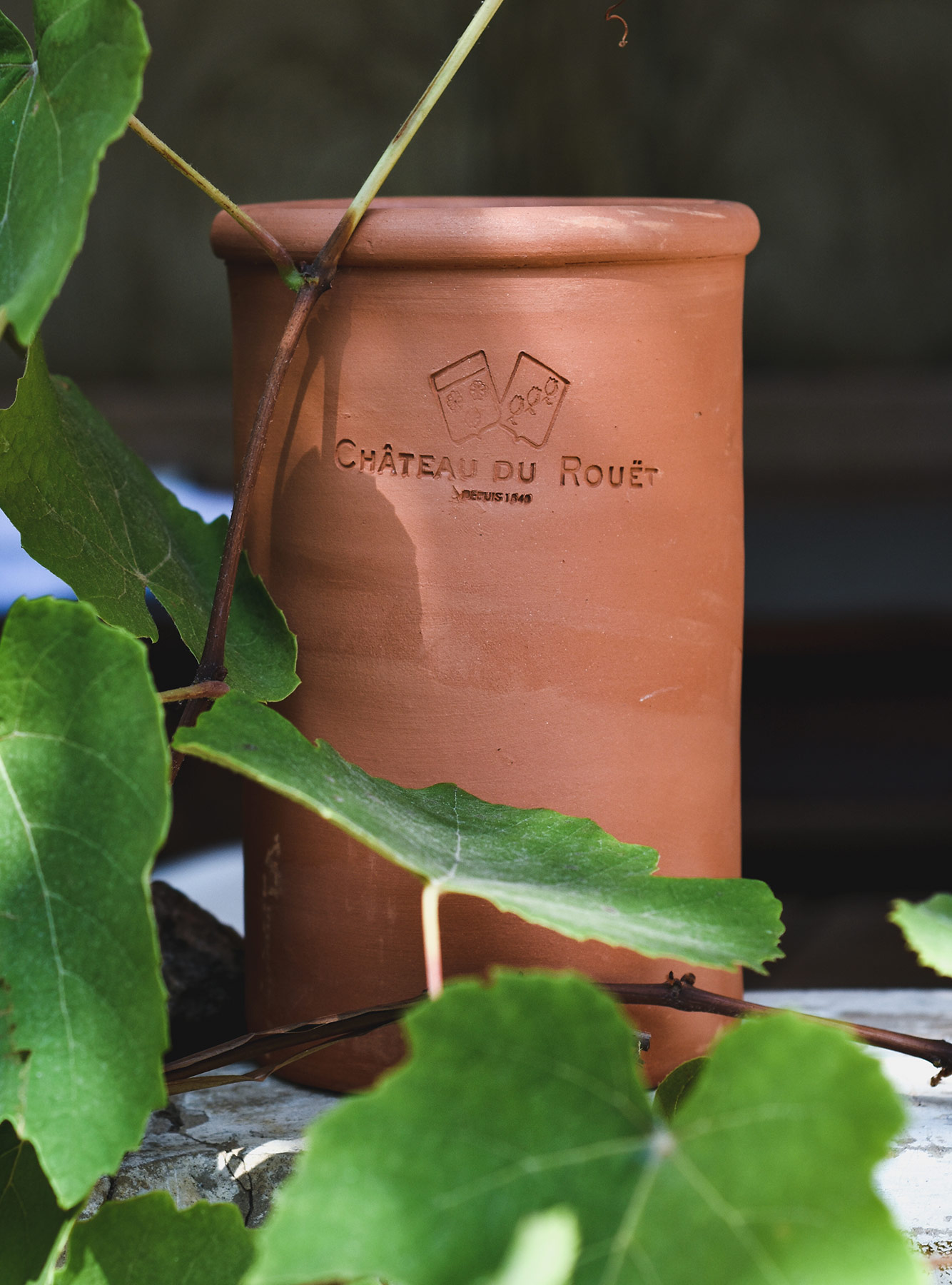 Terracotta pot