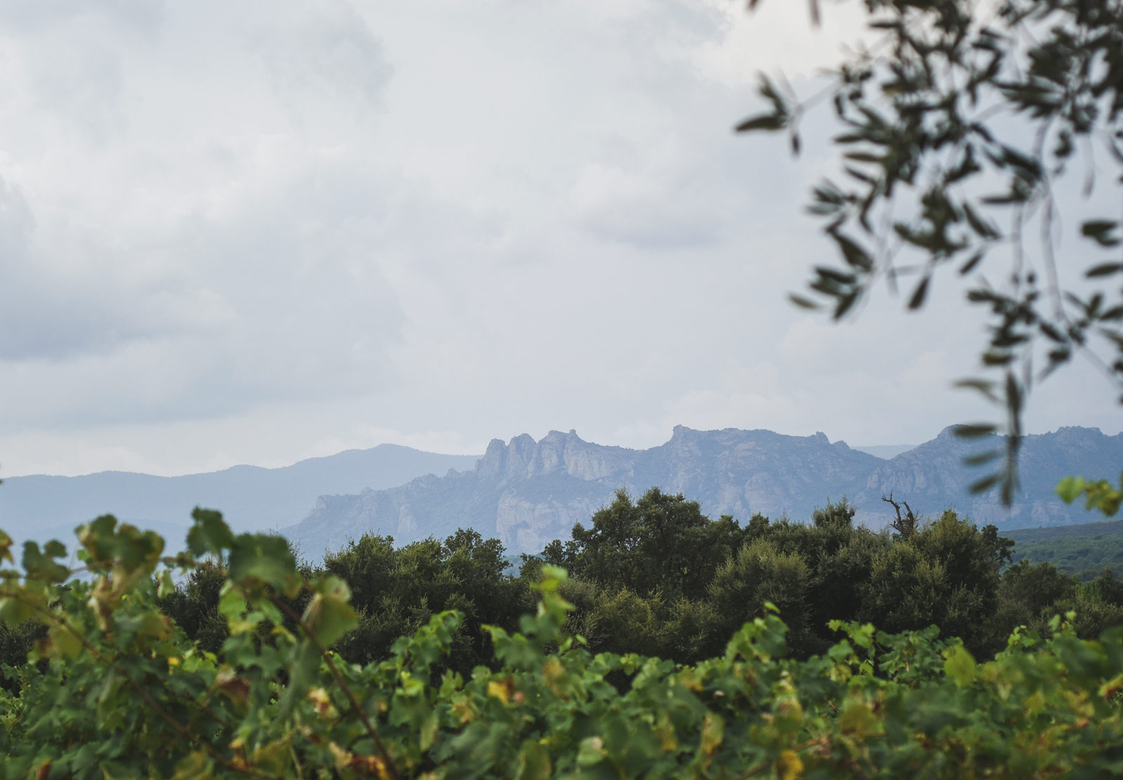 Mountains and storm clouds