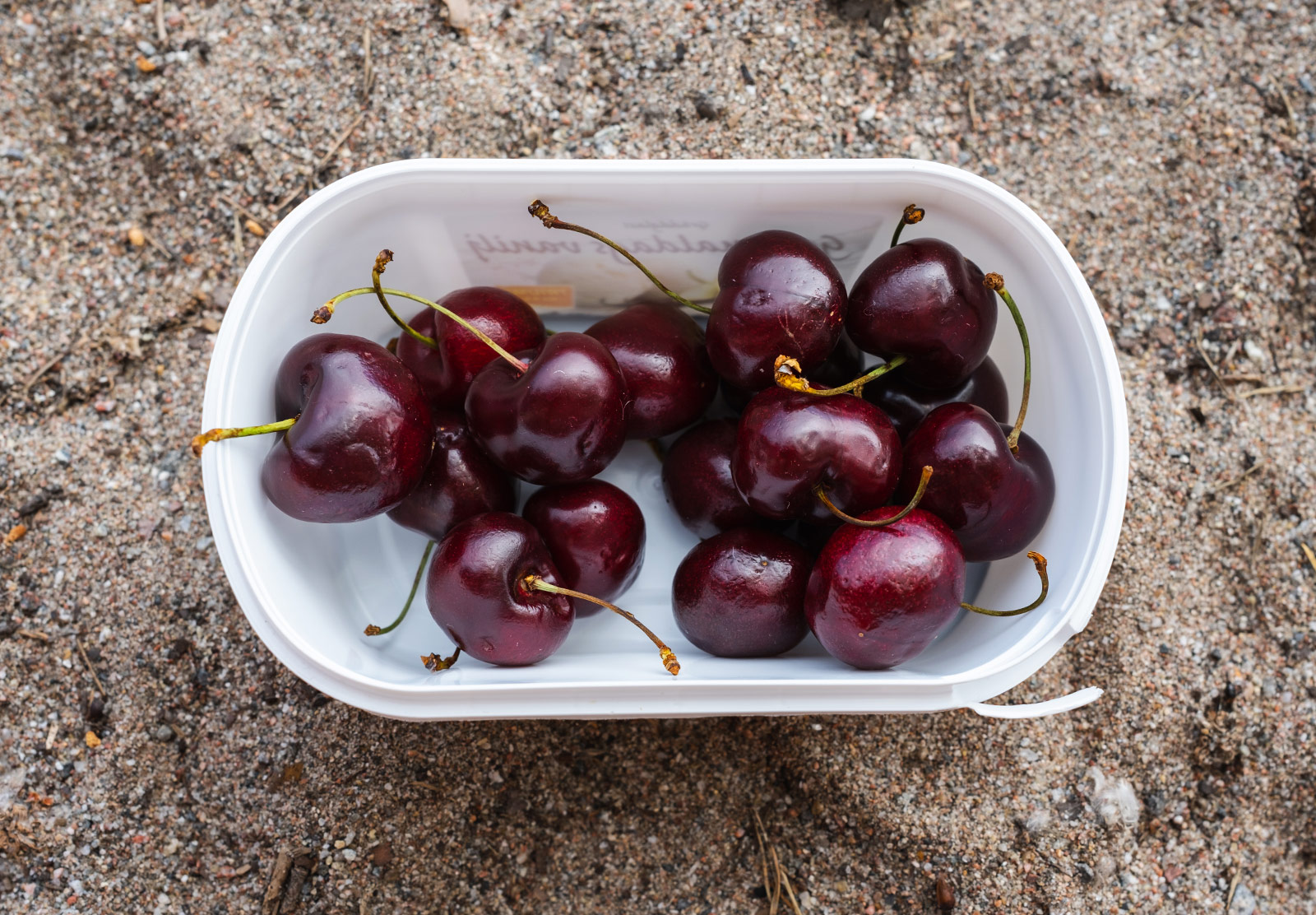 Pot of cherries on sand