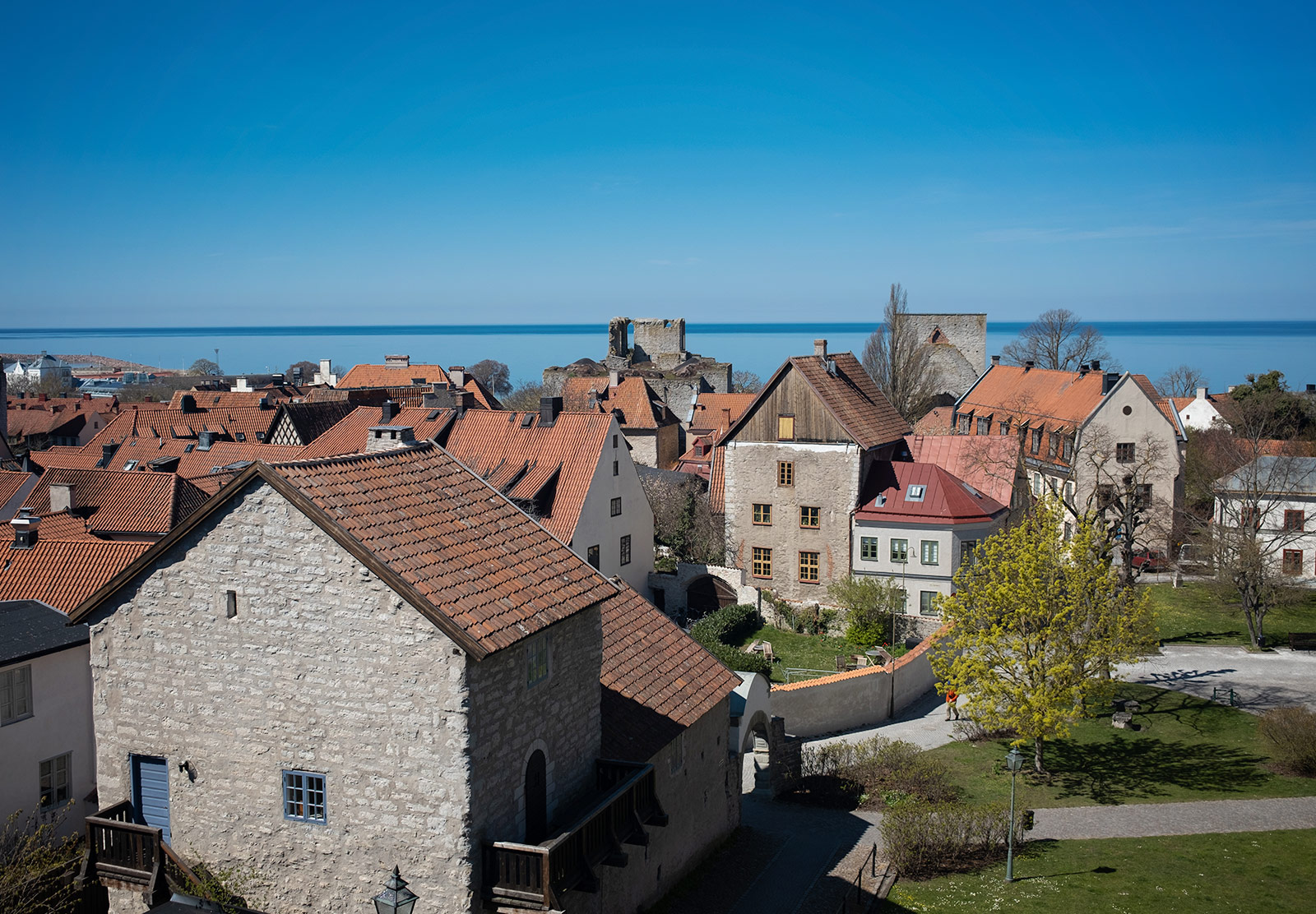 Old tile rooftops