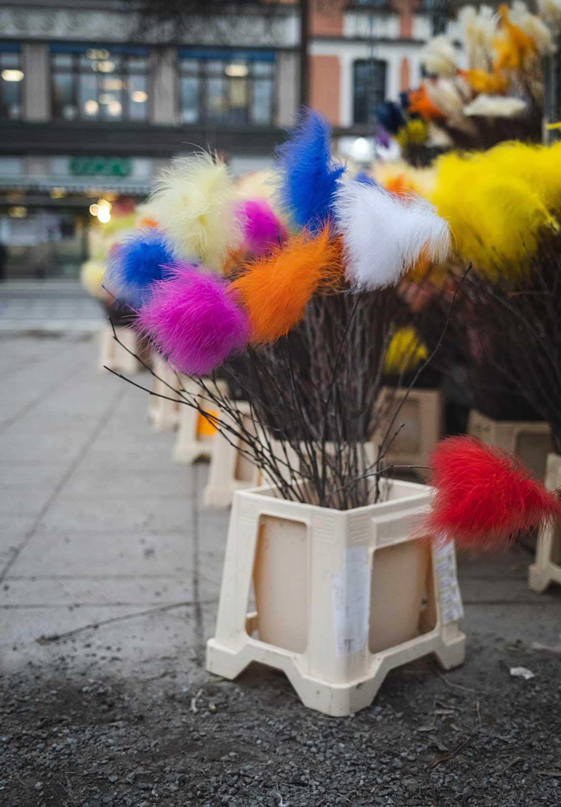 Colourful feathers on twigs