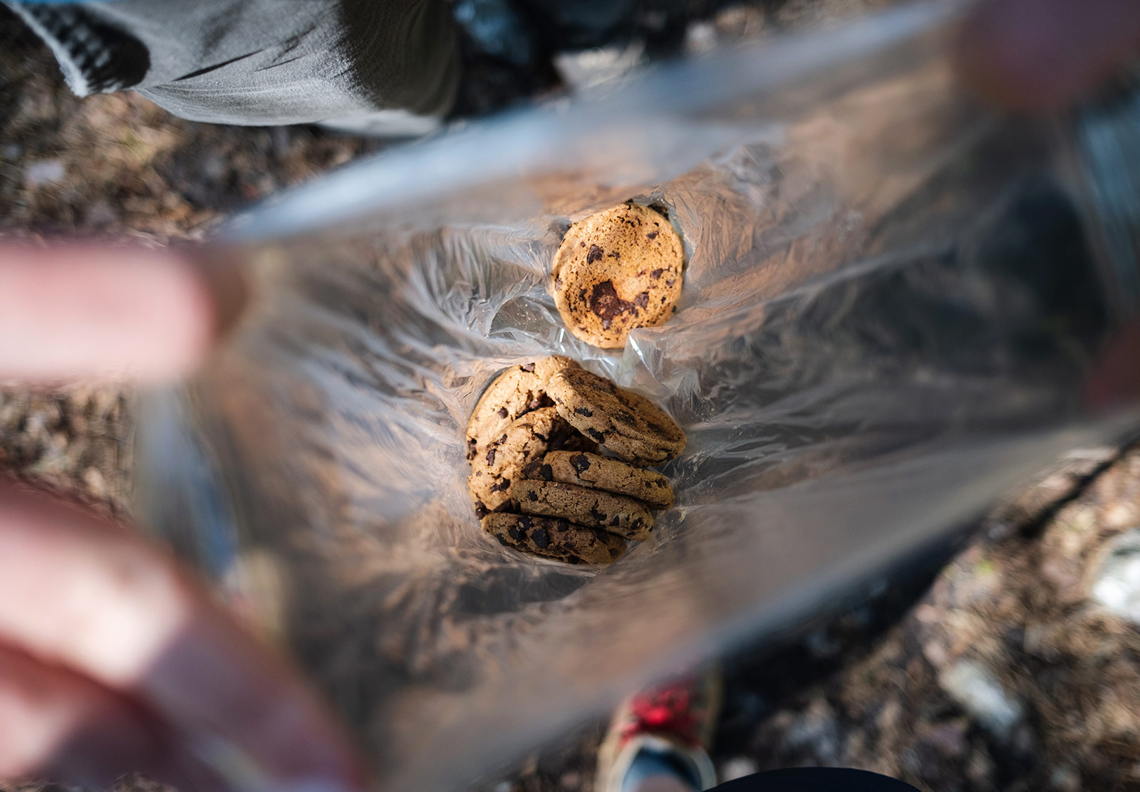 Cookies in a bag