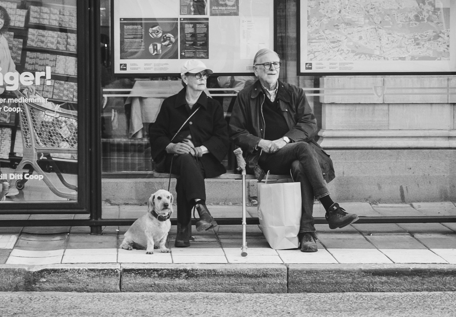 Couple at bus stop with dog