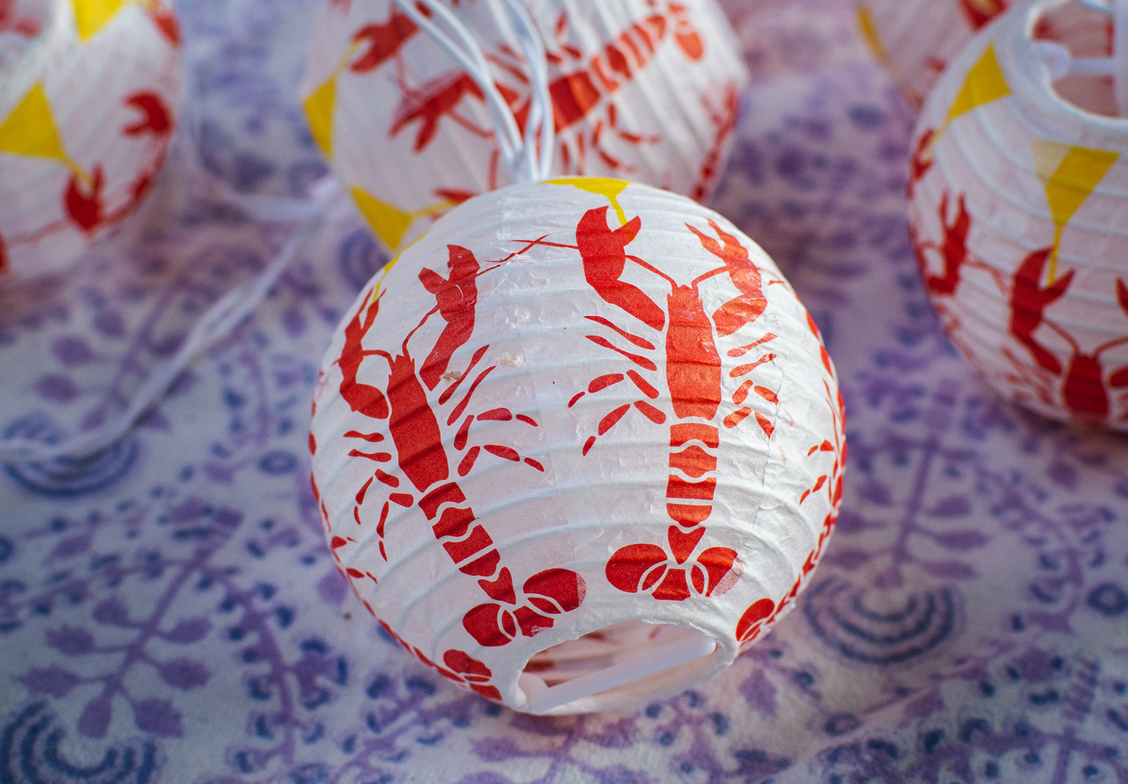 Crayfish lantern