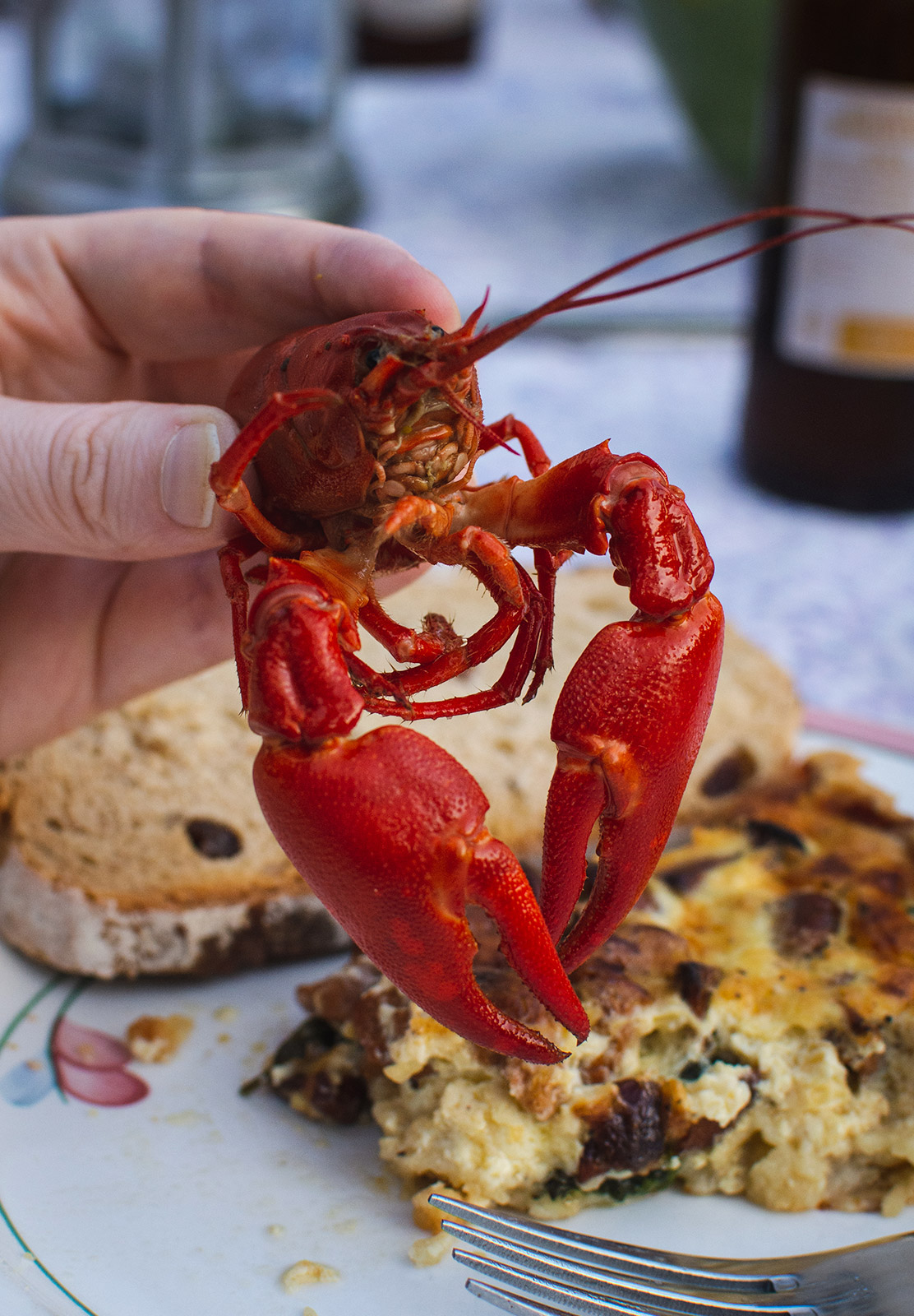 Crayfish claws