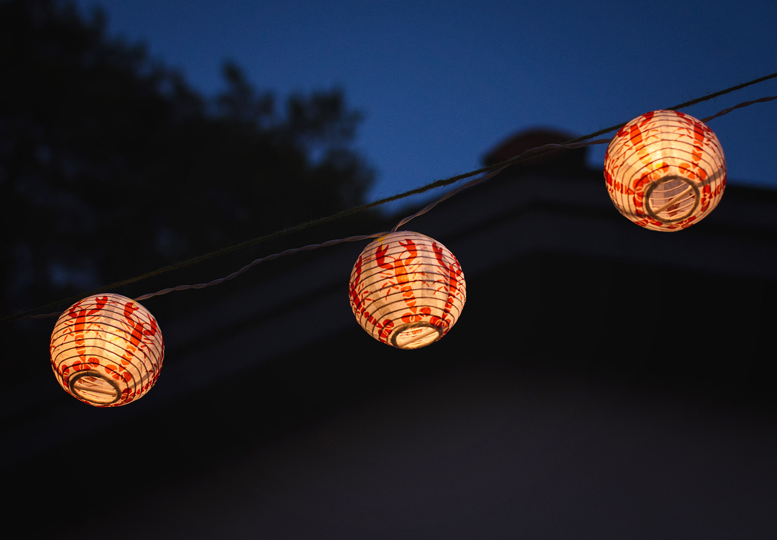 Lit crayfish lanterns