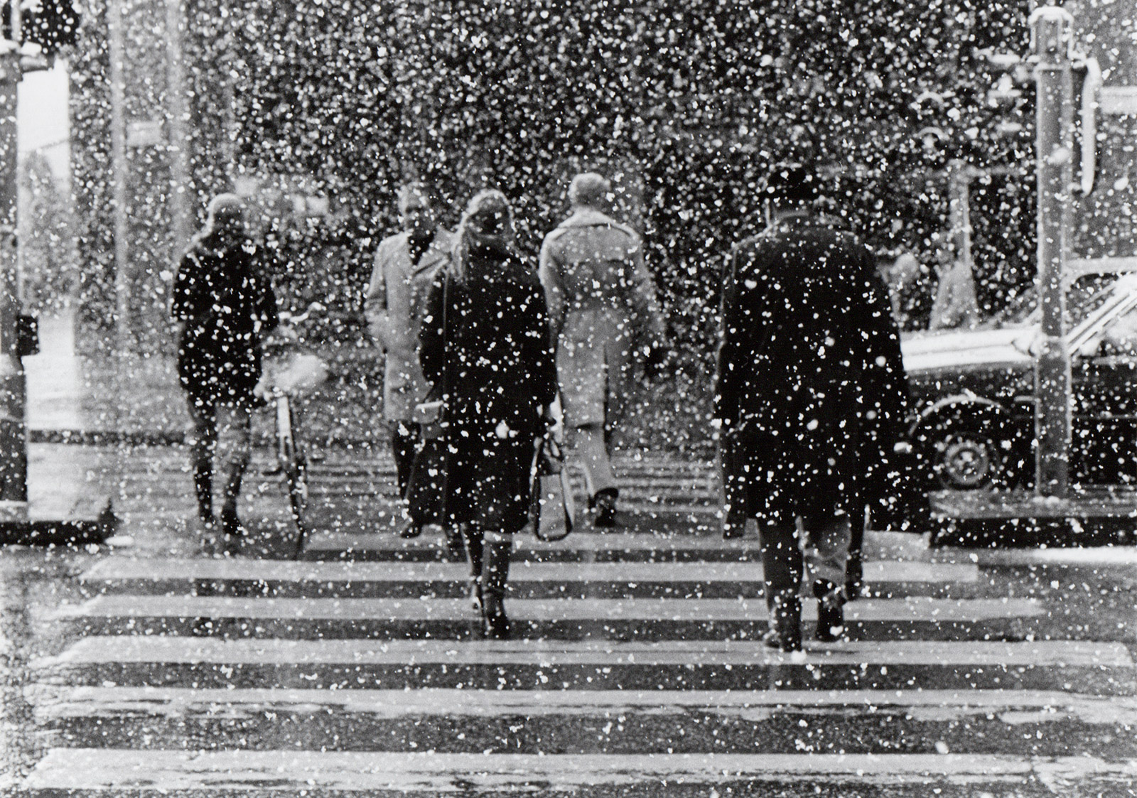 People in the snow