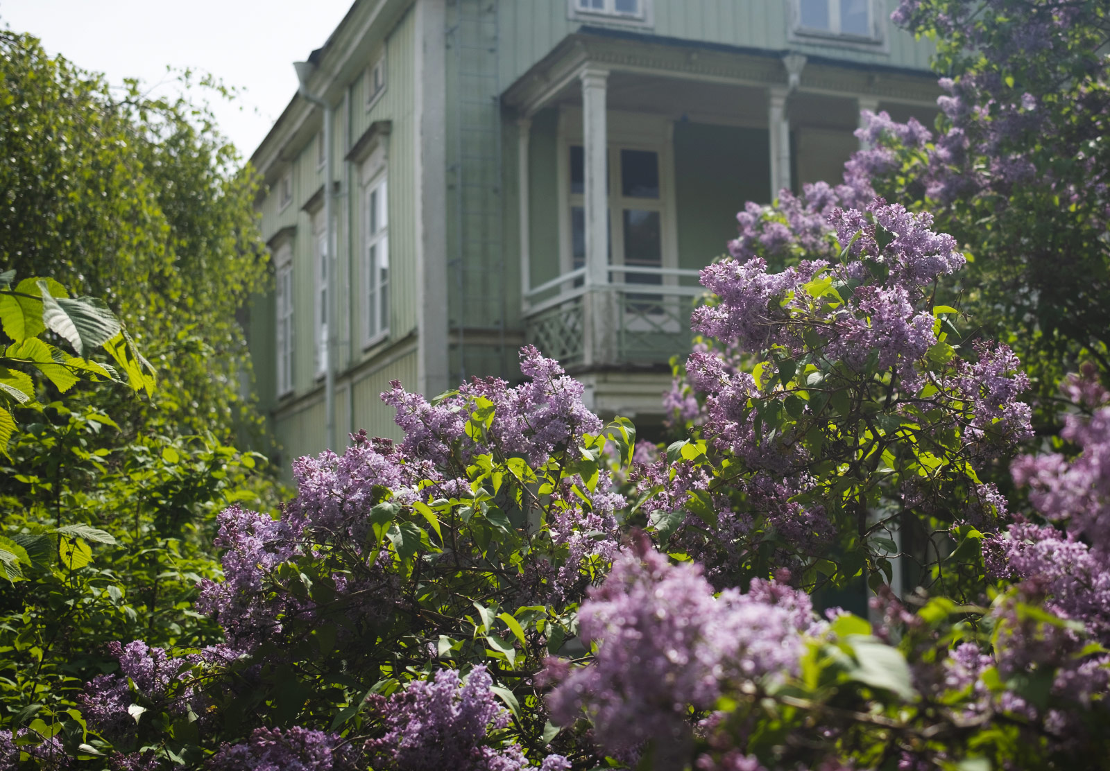Flowers in front of house