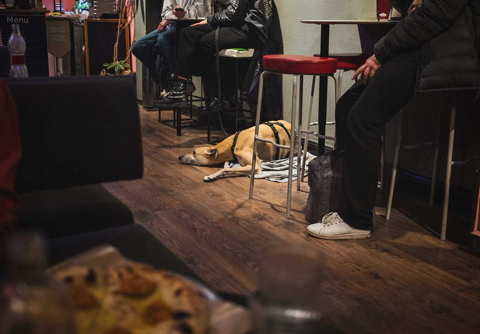 Dog laying on restaurant floor
