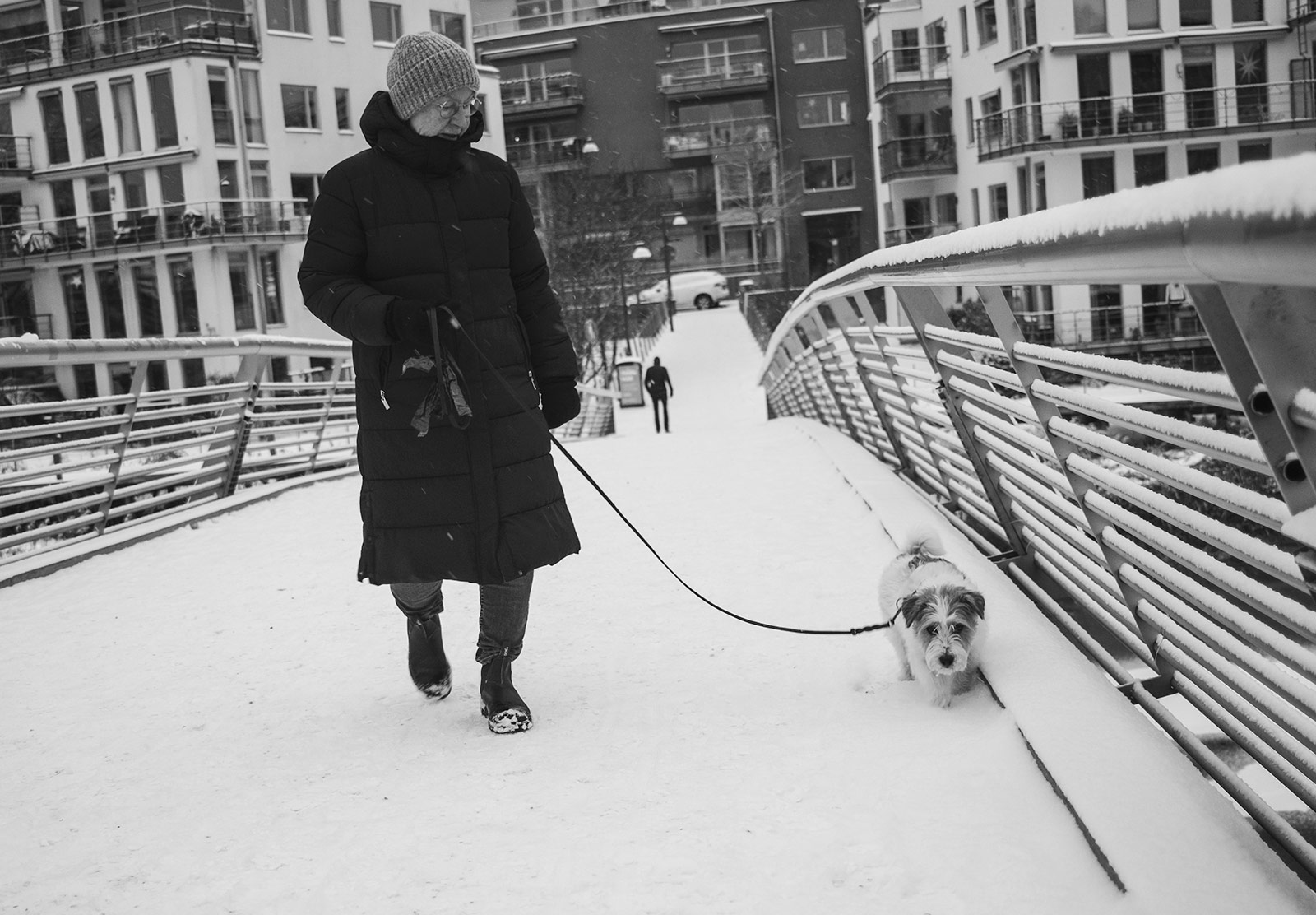 Woman walking dog in the snow
