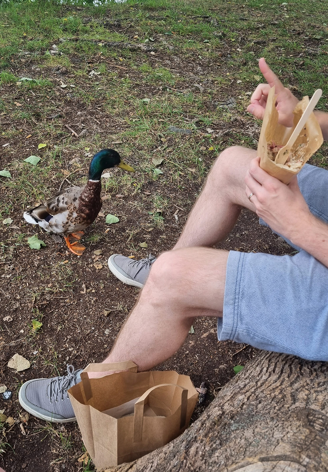 Man telling off a duck