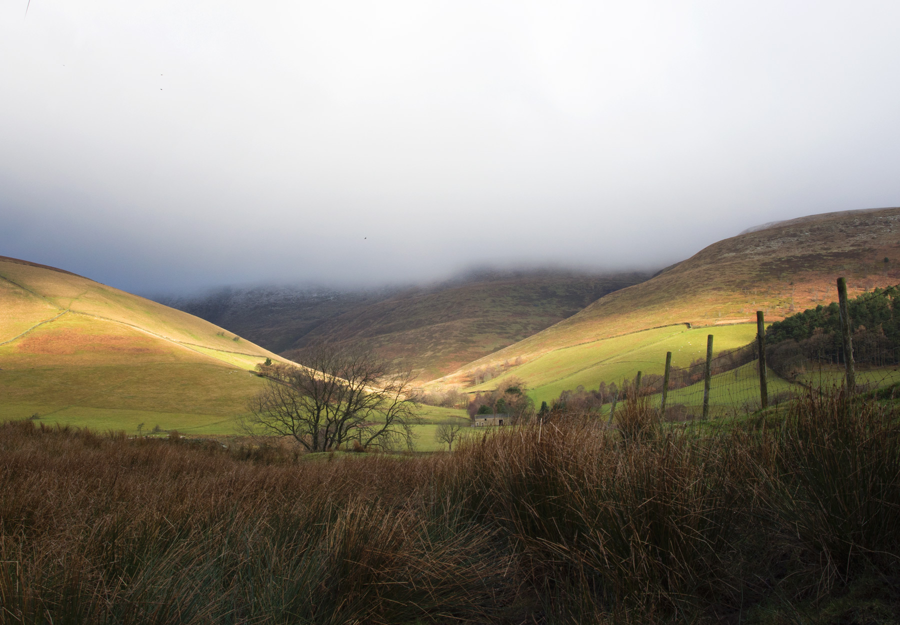 Gate with hills in the background