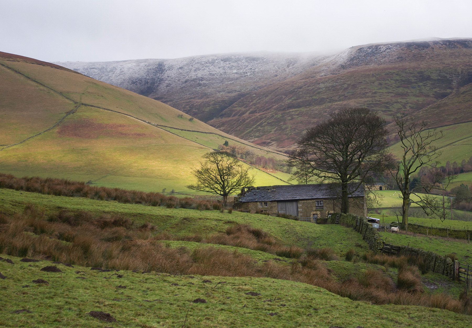 House nestled in hills