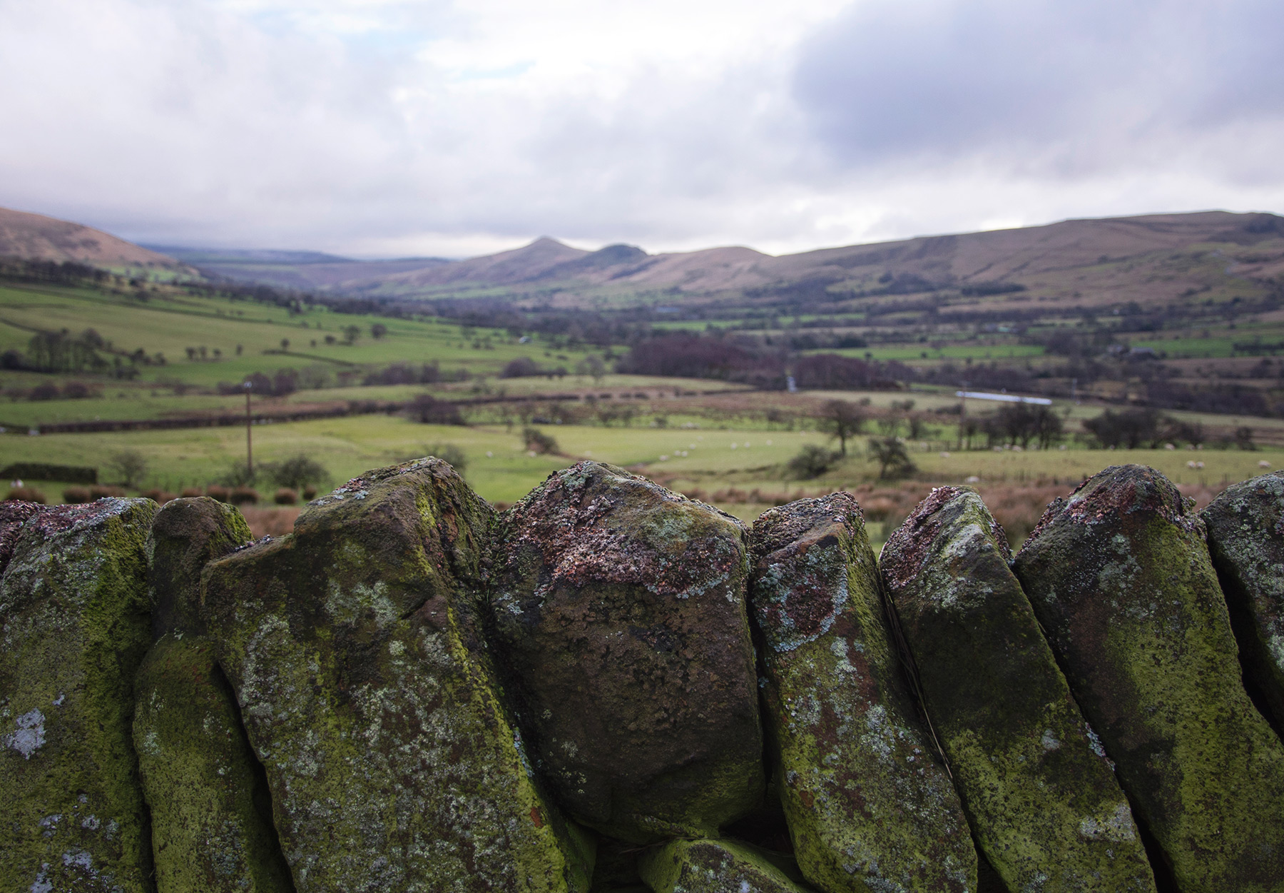 Dry stone wall