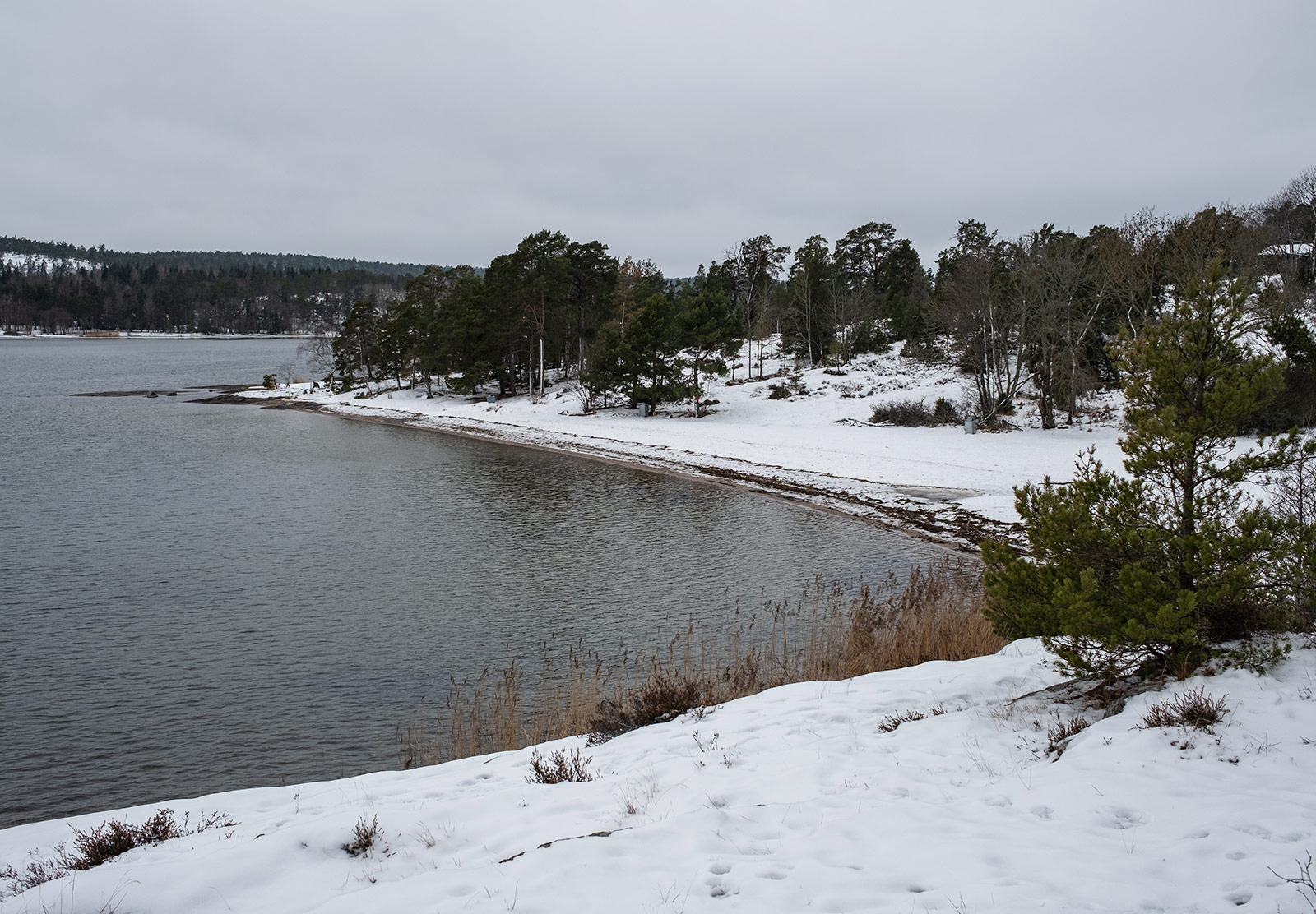 Snow covered beach