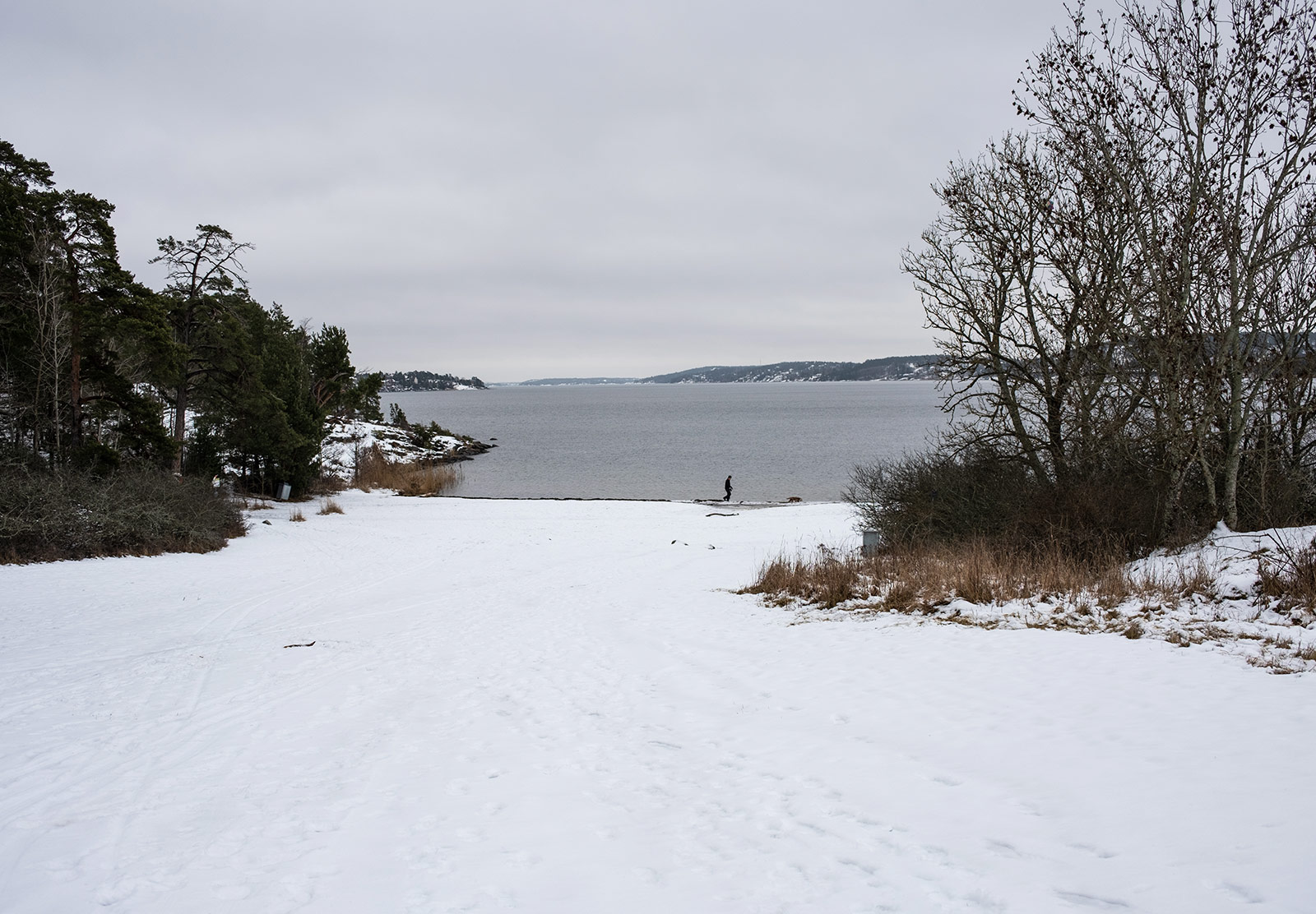 Snow covered beach