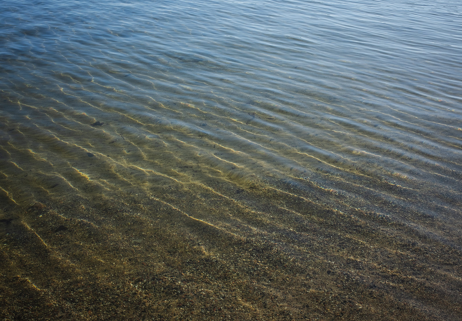 Ripples of water