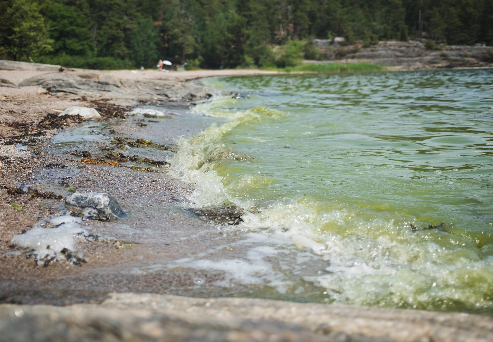 Green waves