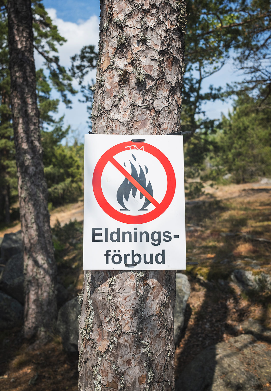 No fire sign on a tree