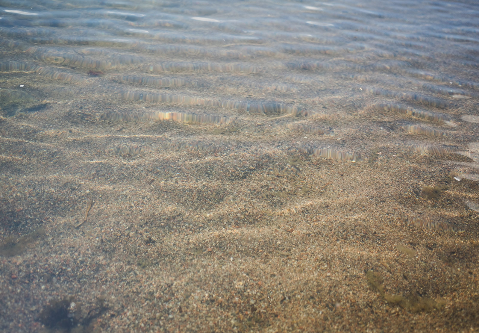 Ripples on water