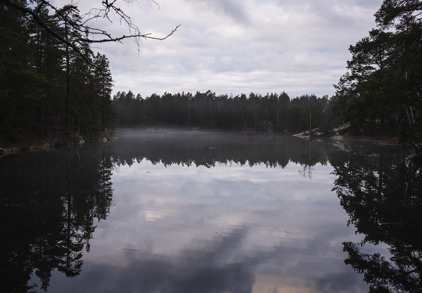 Fog on lake