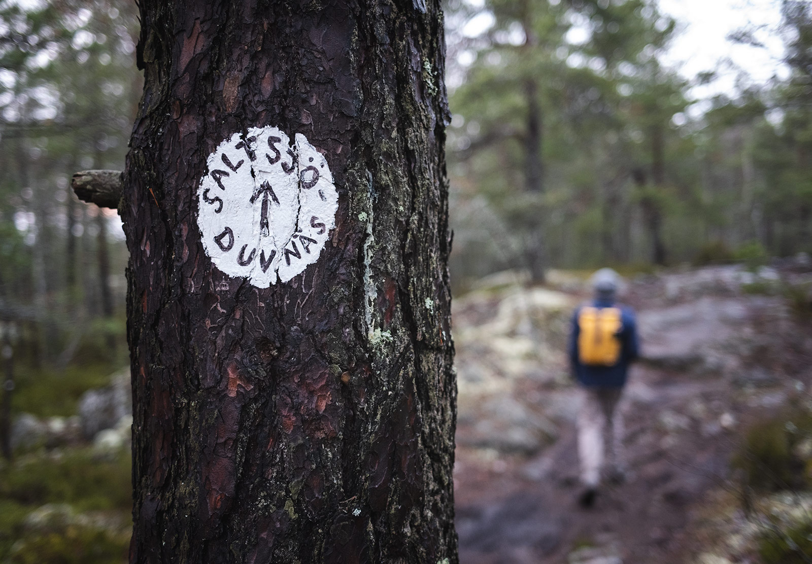 Painted trail sign