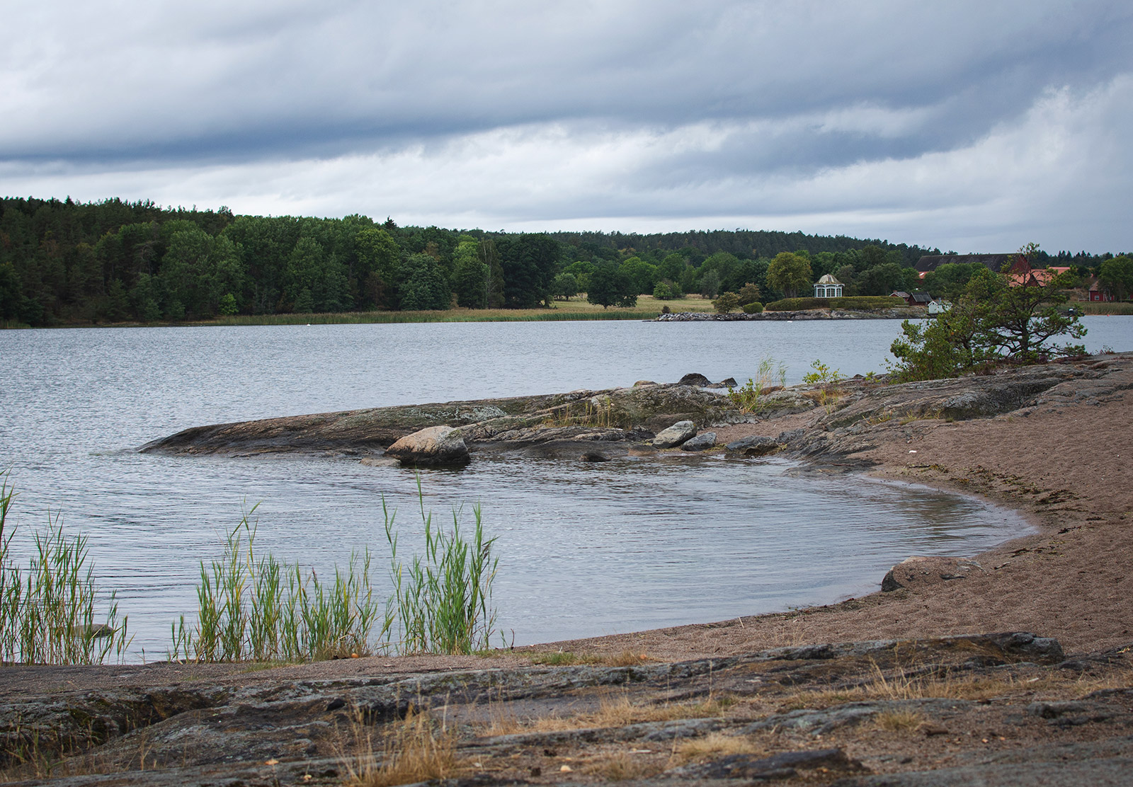 Curve of the shore