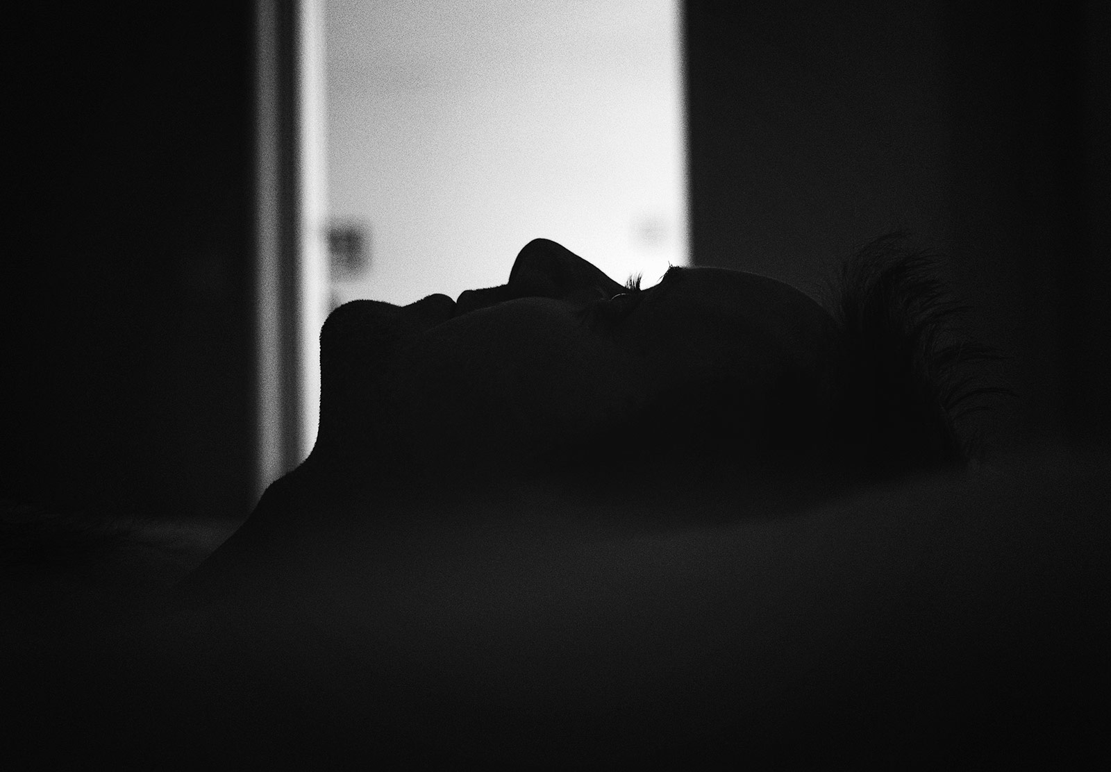 Silhouette of a man's face
