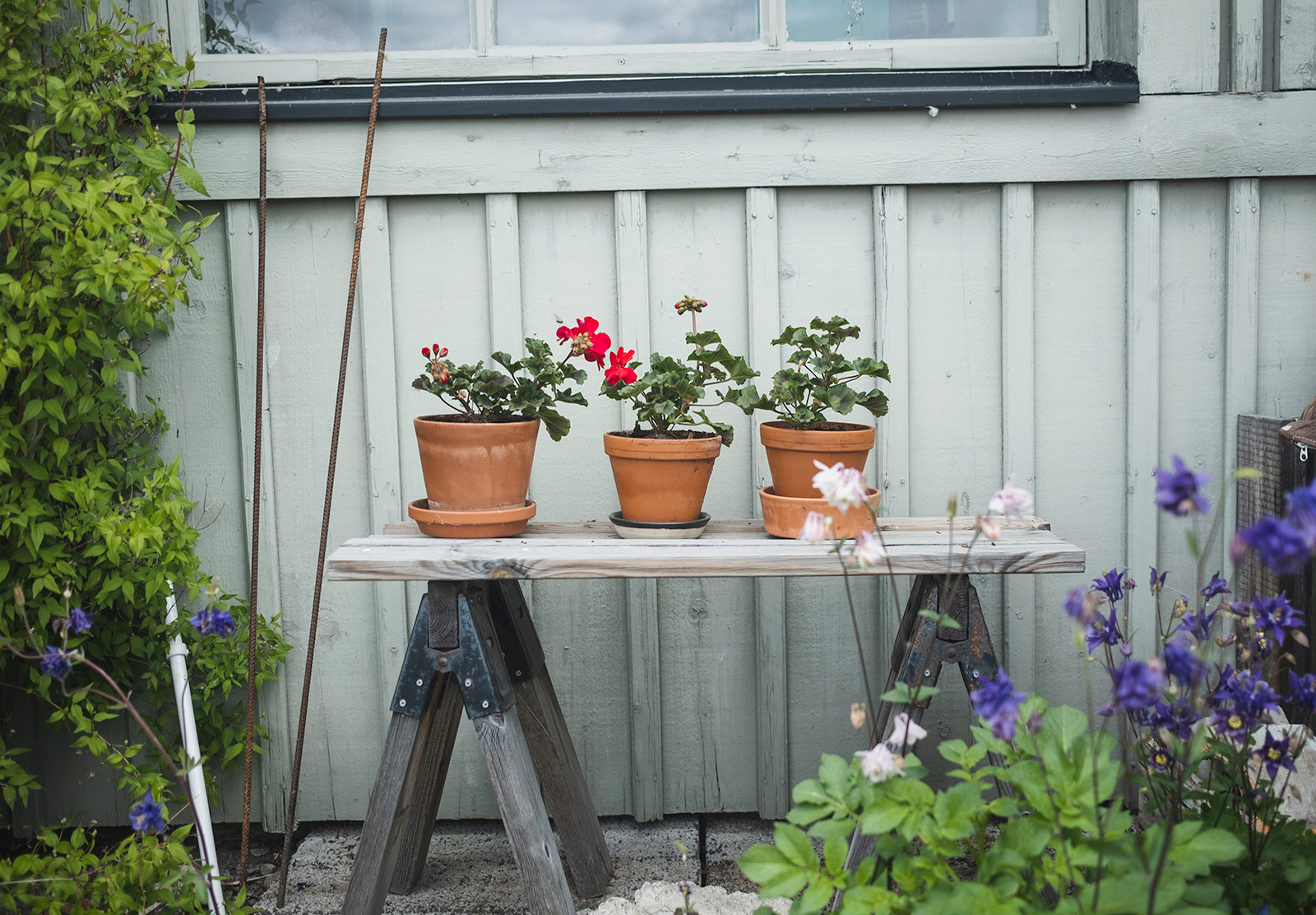 Row of plant pots on a bench